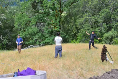 DSC_6821 (Large).JPG